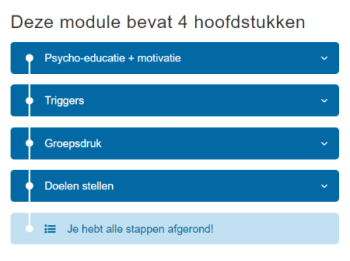 Module hoofdstukken