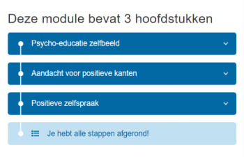 Module hoofdstukken