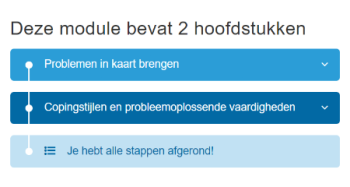 Module hoofdstukken