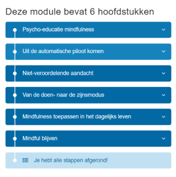 Module hoofdstukken